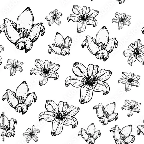 Fototapeta Spring tulips for future design.