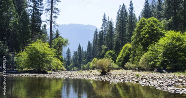 Obraz  Beautiful landscape of the Yosemite National Park