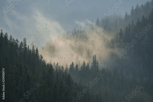 Fototapeta It was a cold morning, everything was mystical because of the light and the fog