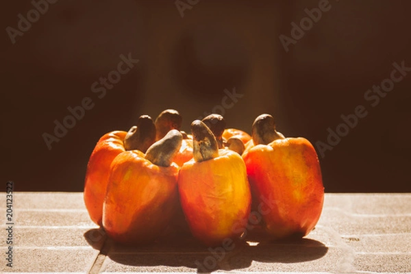 Fototapeta Cashew fruit set up in a bundle in the tropical sun