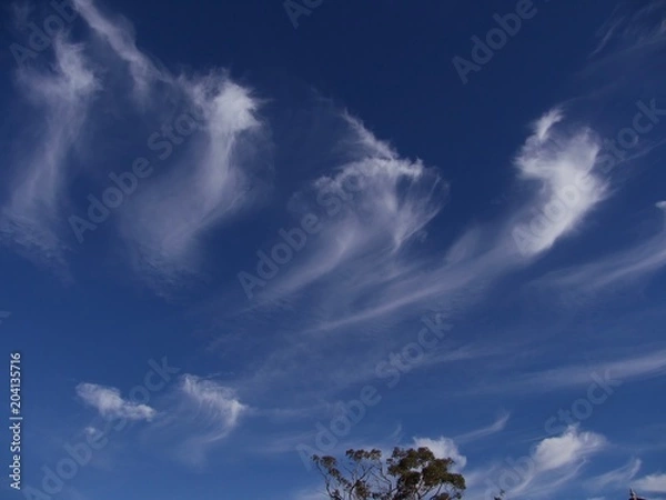 Fototapeta dancing clouds
