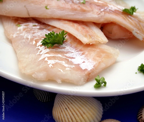 Obraz Frischer Seelachs