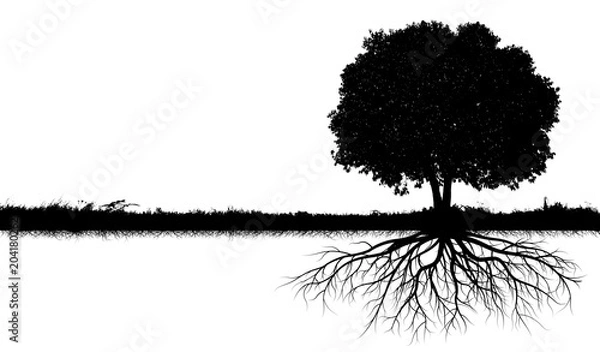 Obraz big tree silhouettes