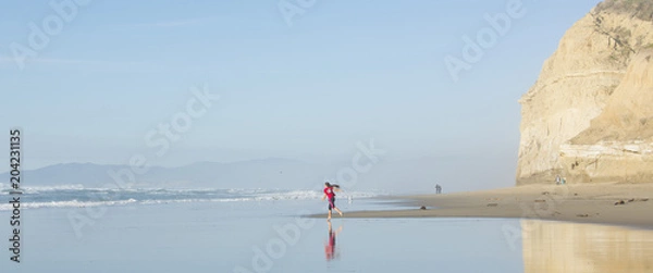 Obraz Beautiful reflection on the beaches of California.