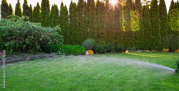 Obraz Irrigation of the green grass with sprinkler system.