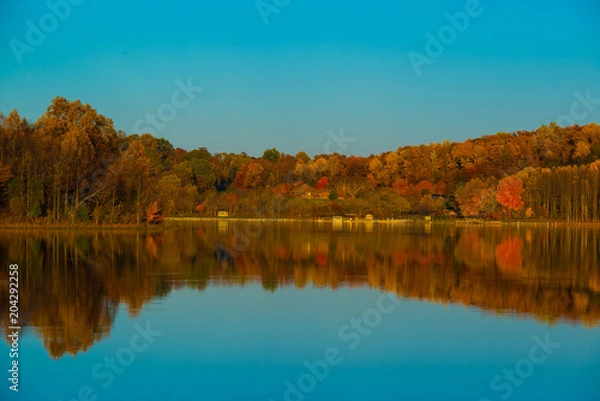 Obraz Fall at Black Hills