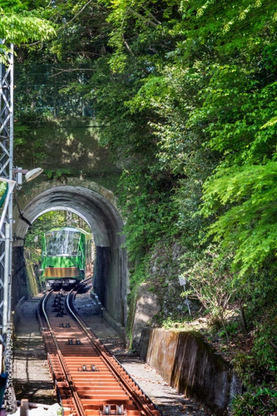 Fototapeta 新緑とケーブルカー