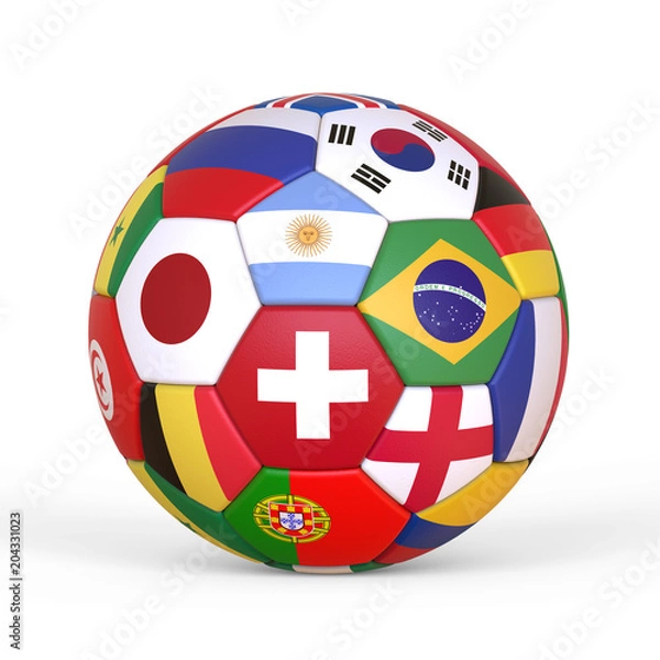 Obraz The soccer ball