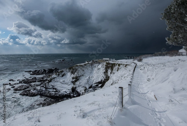 Obraz Snowed in coastal path, UK, Lizard Point