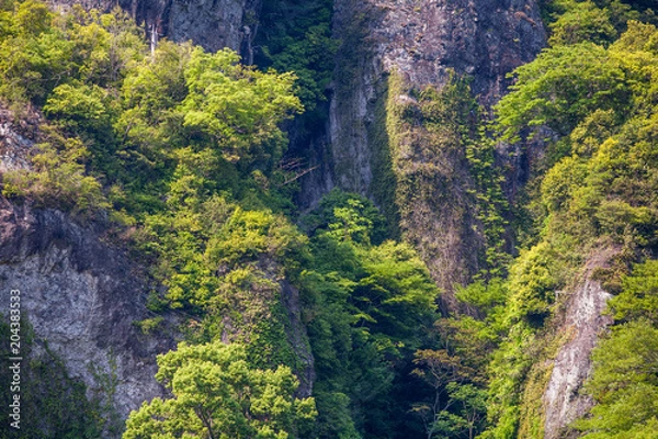 Obraz 新緑の耶馬渓