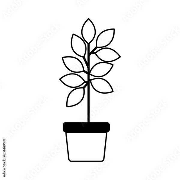 Fototapeta leafs plant in pot decorative icon vector illustration design