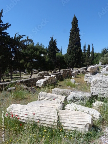 Obraz Coquelicots à l'Acropole
