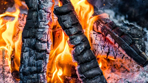 Fototapeta Camp Fire