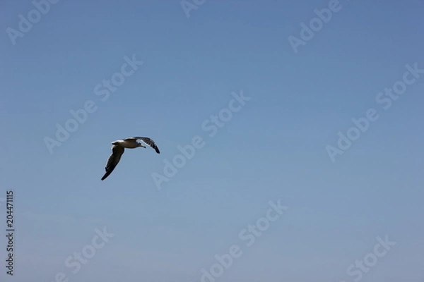 Fototapeta Без заголовка