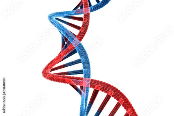 Fototapeta DNA structure