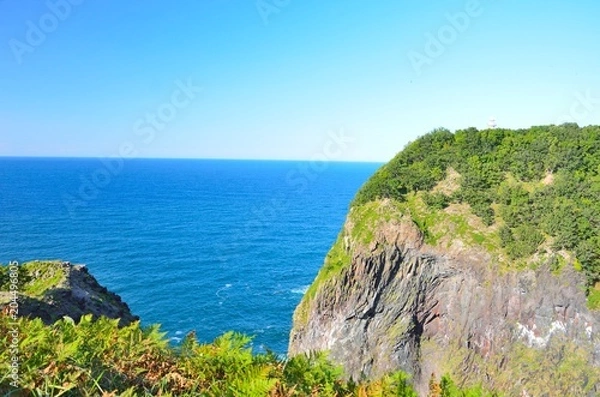 Obraz オホーツク海