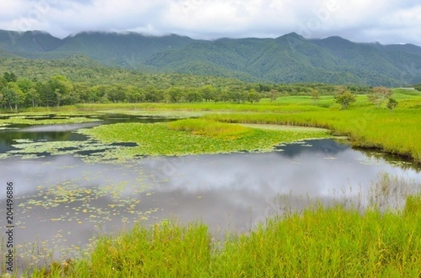 Fototapeta 知床の山