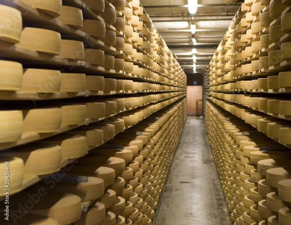 Obraz Fabryka sera