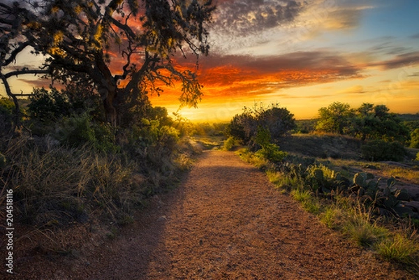 Obraz Sunrise on Enchanted Rock