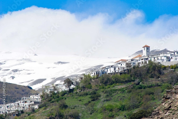 Fototapeta Capileria