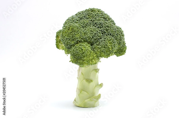 Obraz Fresh broccoli on white background