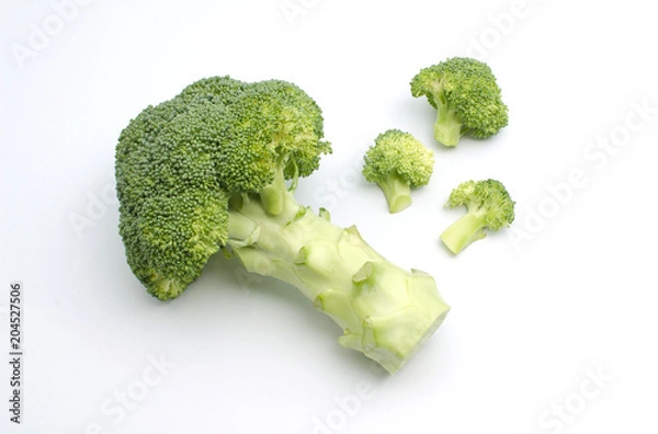 Obraz Fresh broccoli on white background