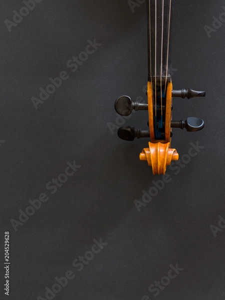 Obraz Violin on a dark background
