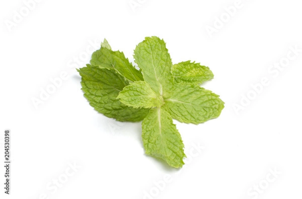 Obraz Fresh mint isolated on white background