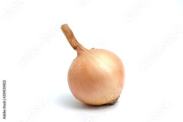 Obraz Fresh onion bulbs isolated