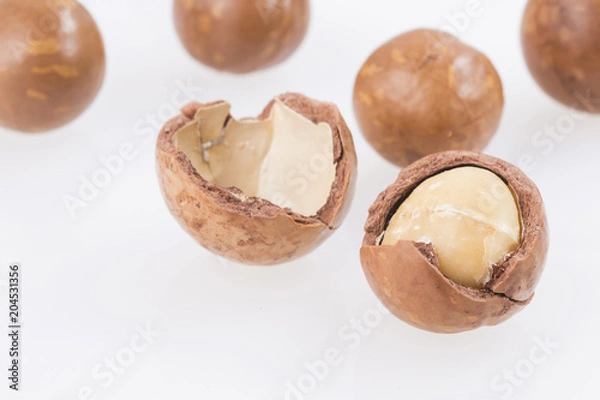 Fototapeta Macadamia nuts - Macadamia integrifolia