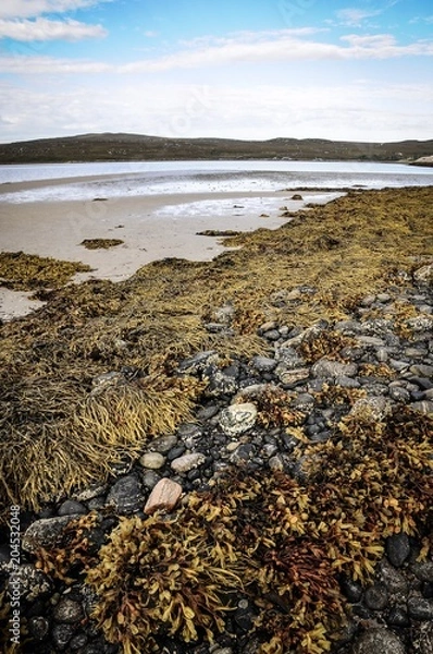 Obraz Scotland Highlands