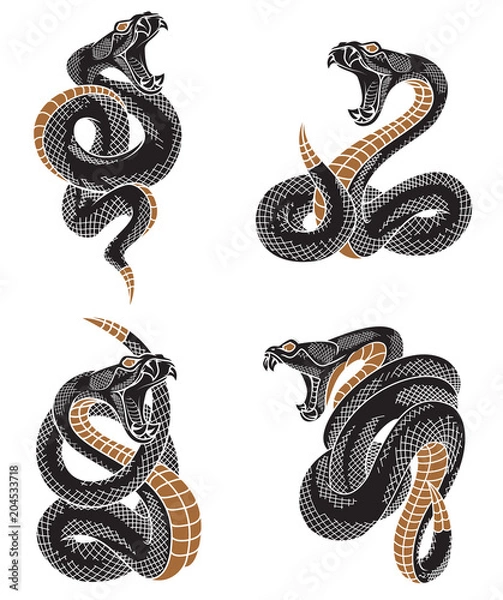 Fototapeta Viper snake set. Hand drawn illustrations in engraving ink technique isolated on withe background.  