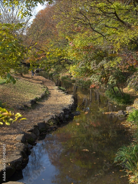 Obraz Japan Garden River