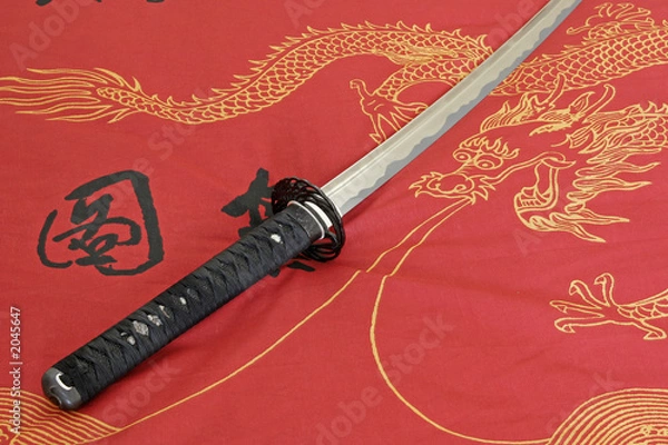 Obraz sabre dégainé