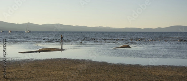 Obraz Beautiful landscape in the Tahoe Lake