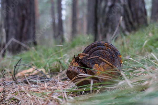 Fototapeta Rusty jar in the grass. The concept of environmental protection. Danger of debris in nature. Clogging the environment.