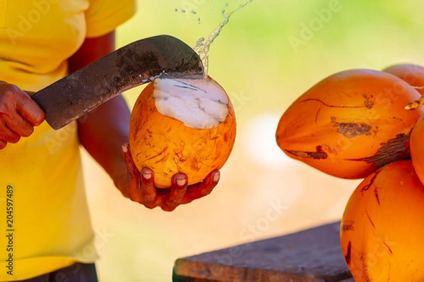 Obraz Mężczyzna otwiera kokos