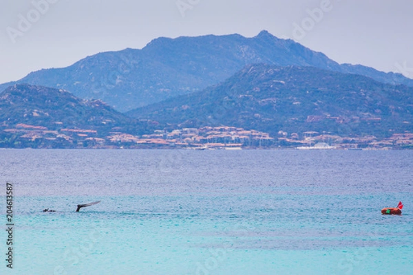 Fototapeta Pêche en apnée