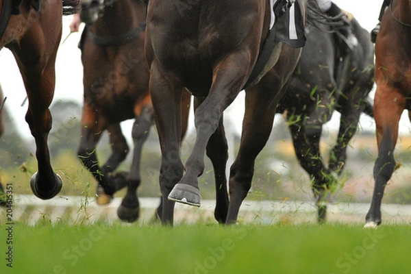 Obraz Horse racing action
