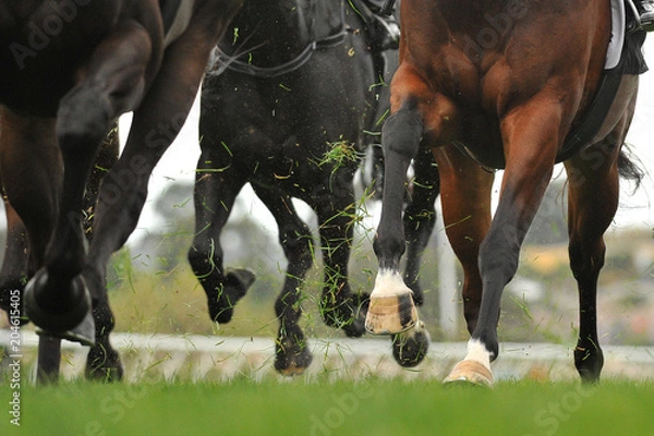 Obraz Horse racing action