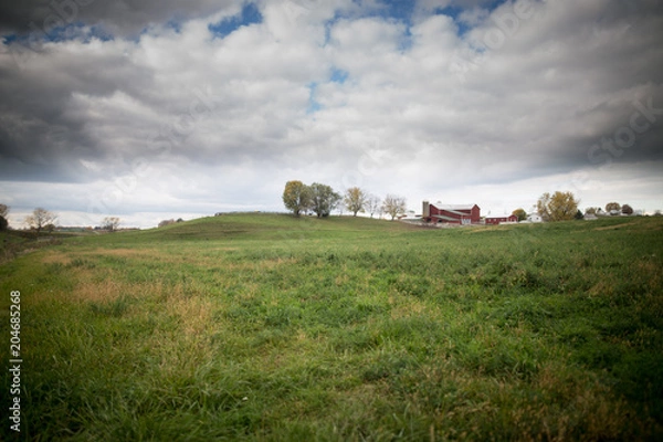 Fototapeta farm in spring