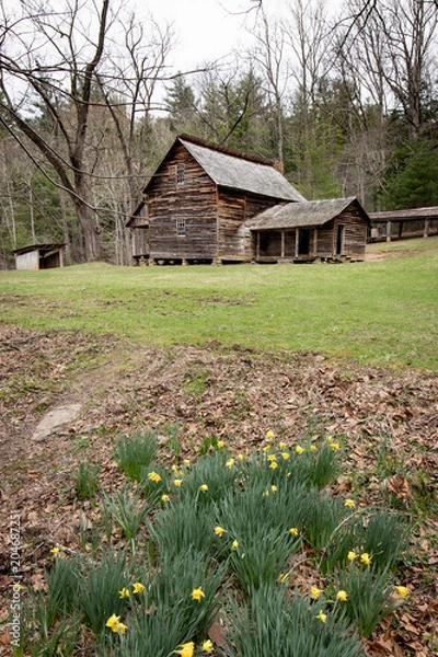 Fototapeta mountain cabin