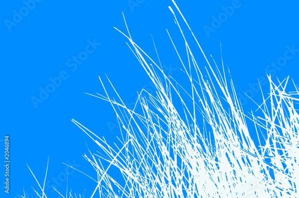 Obraz abstract organic background