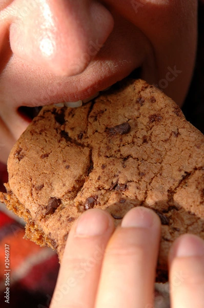 Obraz manger un cookie au chocolat