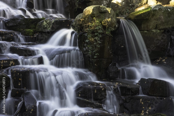 Obraz The Ornamental Cascade waterfall in Virginia Water, Surrey, United Kingdom