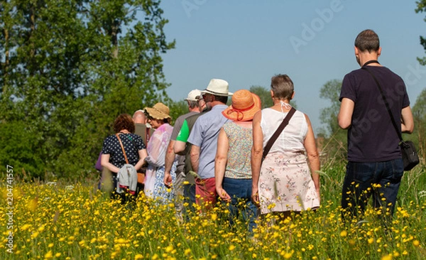 Obraz walking through the flower field