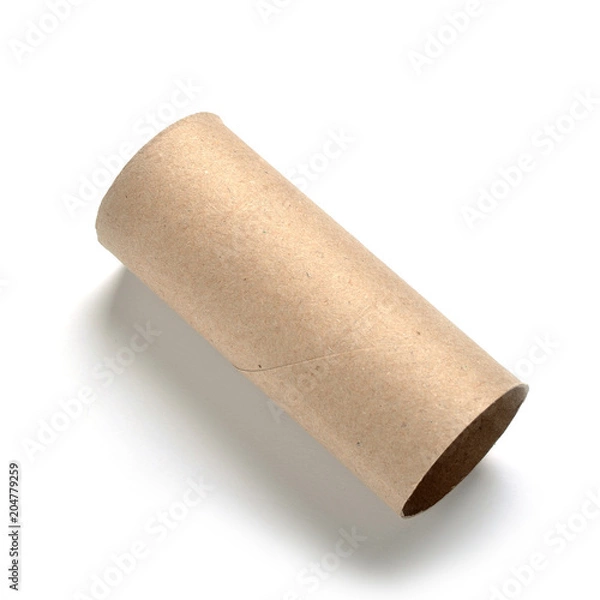 Obraz Empty toilet roll tube