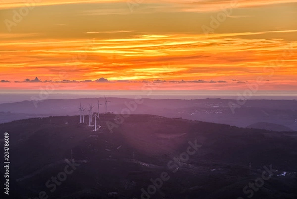 Obraz Windmills at sunset