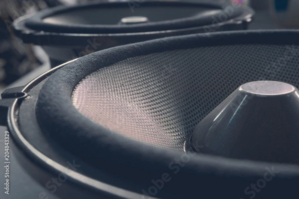 Fototapeta Car speaker audio