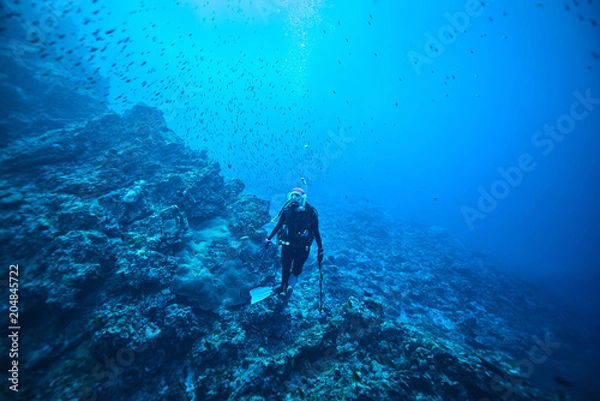 Obraz scuba driving